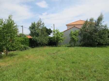 Emplacement réservé à la mini-miellerie