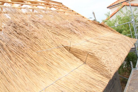 Et voilà le travail ! Plus que 700 bottes à poser, on ne va pas  chômer !